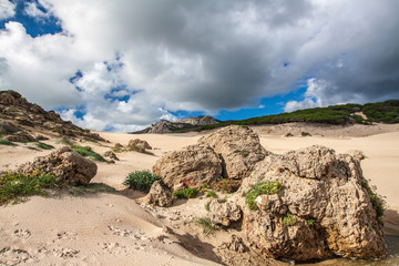 Sanddunes of Bolonia