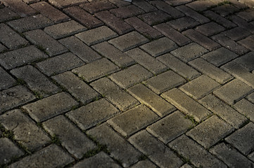 paving stone