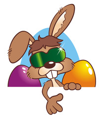 Easterbunny Sunglasses Board