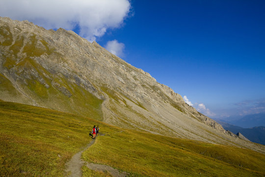 in discesa dal colle del liconi