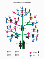 Fototapeta na wymiar picture of the genealogical family tree