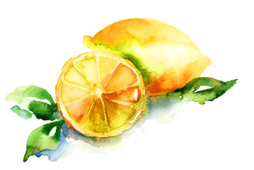 Watercolor illustration of Lemon - 49814182