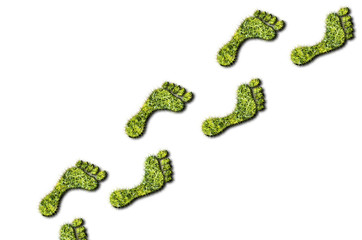 Green grass growing footprints on white background