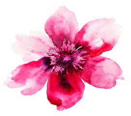 Beautiful Pink flower - 49814516