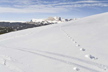 Fototapeta na wymiar Narciarstwo alpejskie znaki na Seiser Alm