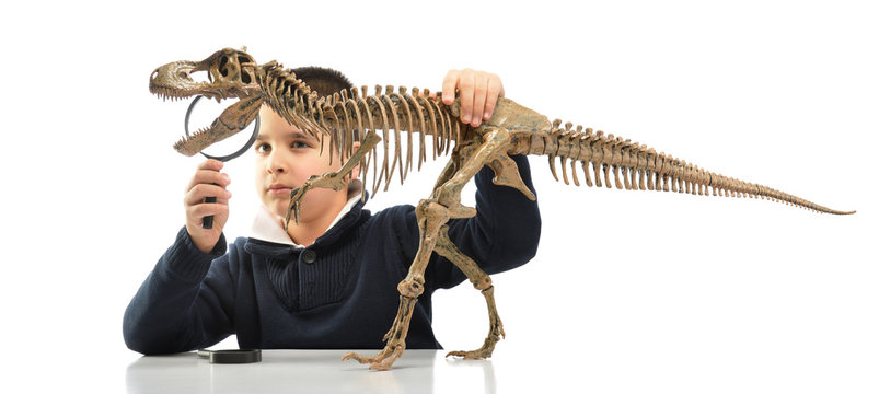 Little boy looking at dinosaur with magnifier isolated