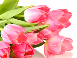 Pink tulips isolated on white