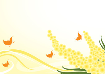 sfondo mimose e farfalle