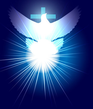 holly spirit