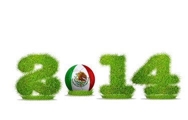 Mexico soccer 2014.