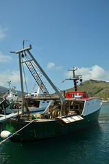 Fishing boats at harbor