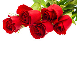 bouquet of red rose flower on white