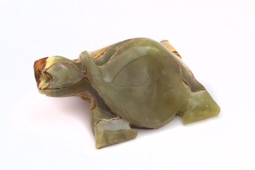 Onyx turtle on white