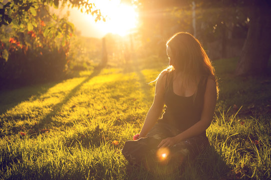 Peace In The Backyard