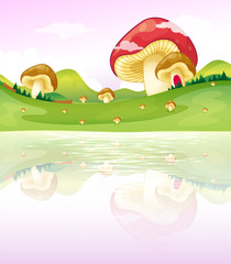 Mushrooms near the lake
