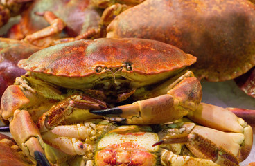 Red crab