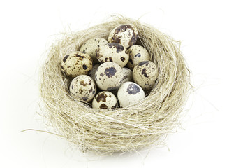 Naklejka na ściany i meble Eggs in the nest