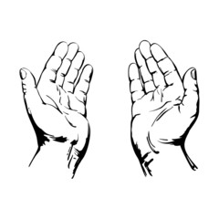 Praying Hands