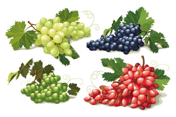 set of ripe grapes