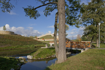 Fototapeta na wymiar park with water and vineyard