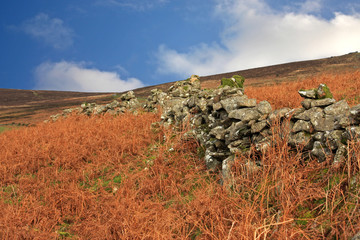 dry stone wall, Dartmoor