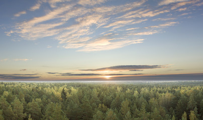 Sunrise over the forest in autumn.