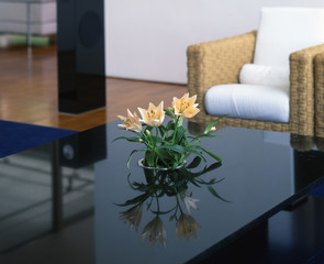 luxury beautiful flower on a black table
