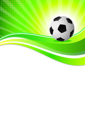 Fussball - Soccer - 114
