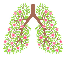 lungs healthy