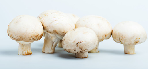 Champignon mushrooms