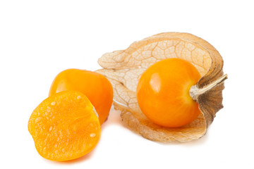 Physalis_III