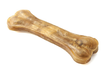 Bone for the dog