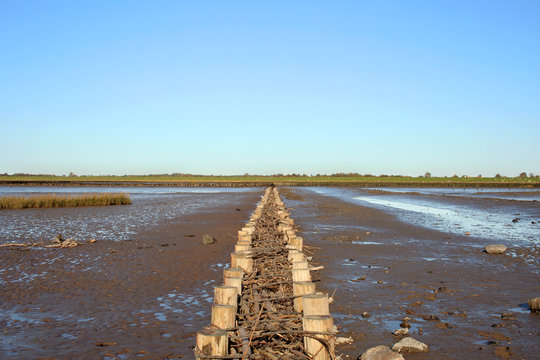 Landgewinnung in Schleswig Holstein