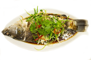 Snapper Fish