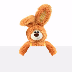 Hase zeigt nacht unten mit beiden Händen