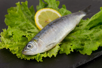 fresh sardine on lettuce with lemon