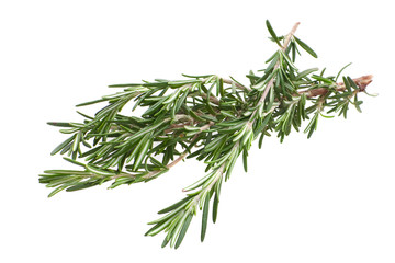 Rosemary twig