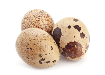 Obraz premium Quail egg closeup