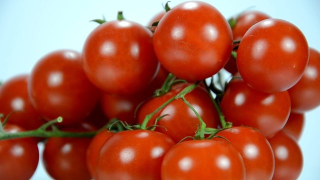 Tomaten