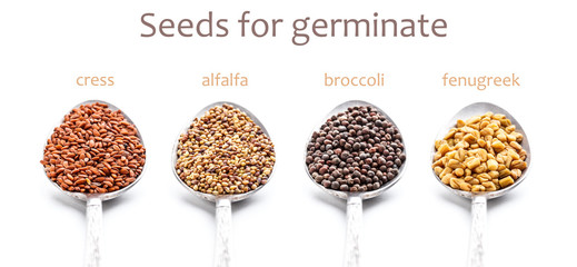 Seeds for germination