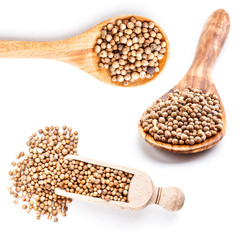 Coriander seeds