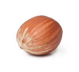 Hazelnut isolated on white