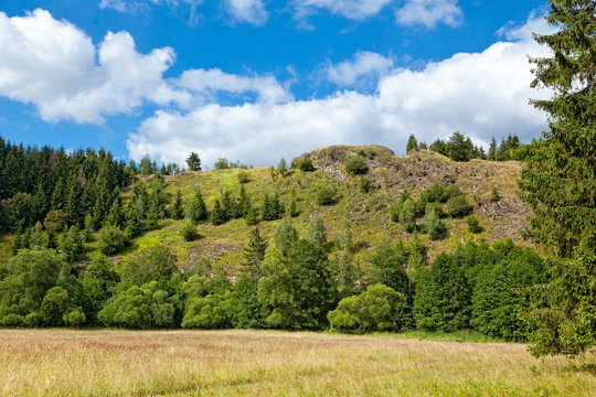 Harzer Hexenstieg Blick auf die Susenburg