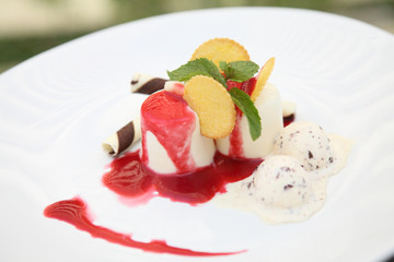 Strawberry Panna Cotta pudding with ice cream