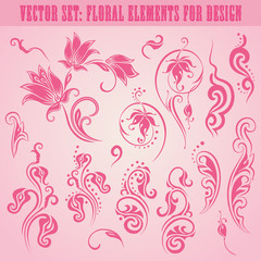 Vector set of floral elements