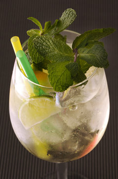 モヒート Mojito 莫吉托 موخیتو