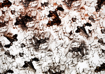 peinture craqueléer