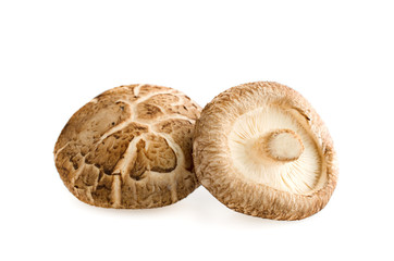 Shiitake mushrooms on white