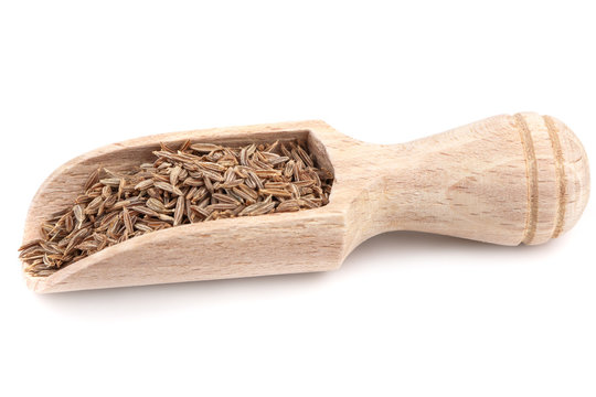 dry dill