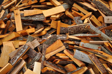 pile of logs